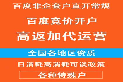百度推广排名案例研究：如何利用关键词提升品牌知名度